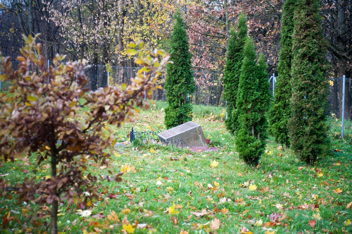 Lapkričio 1-oji Kaune