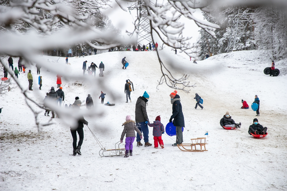 Su rogėmis ir čiuožynėmis kauniečiai šturmavo parkus ir miškus