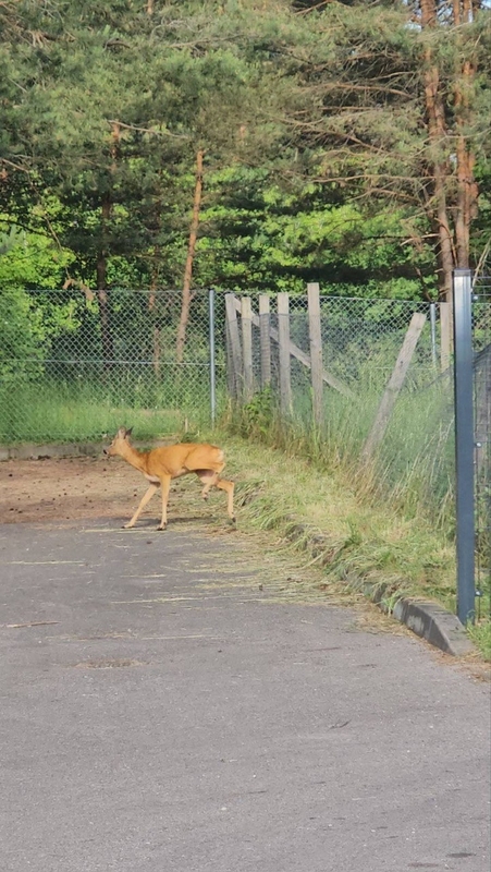 Padariniai: dėl teismo sprendimo Kleboniškio vandenvietės apsaugos zoną teks apkarpyti.