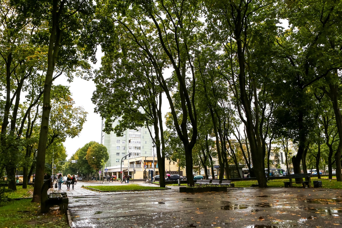 Pasivaikščiojimas po Vytauto prospektą