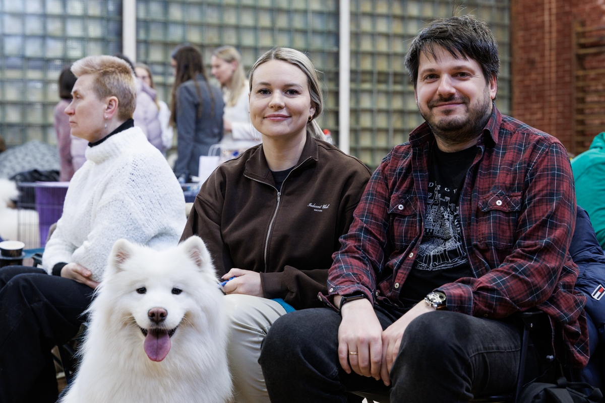 Samojedų paroda „Žiemos stebuklų šalis 2025“