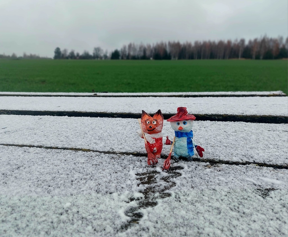 Lietuvoje pabiro snaigės