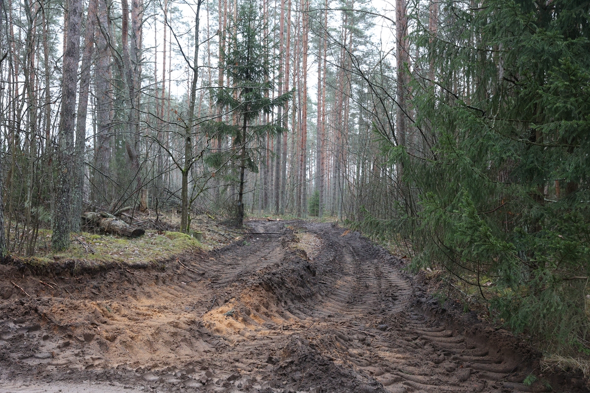 Pabradėje dingusių keturių JAV karių gelbėjimo operacija