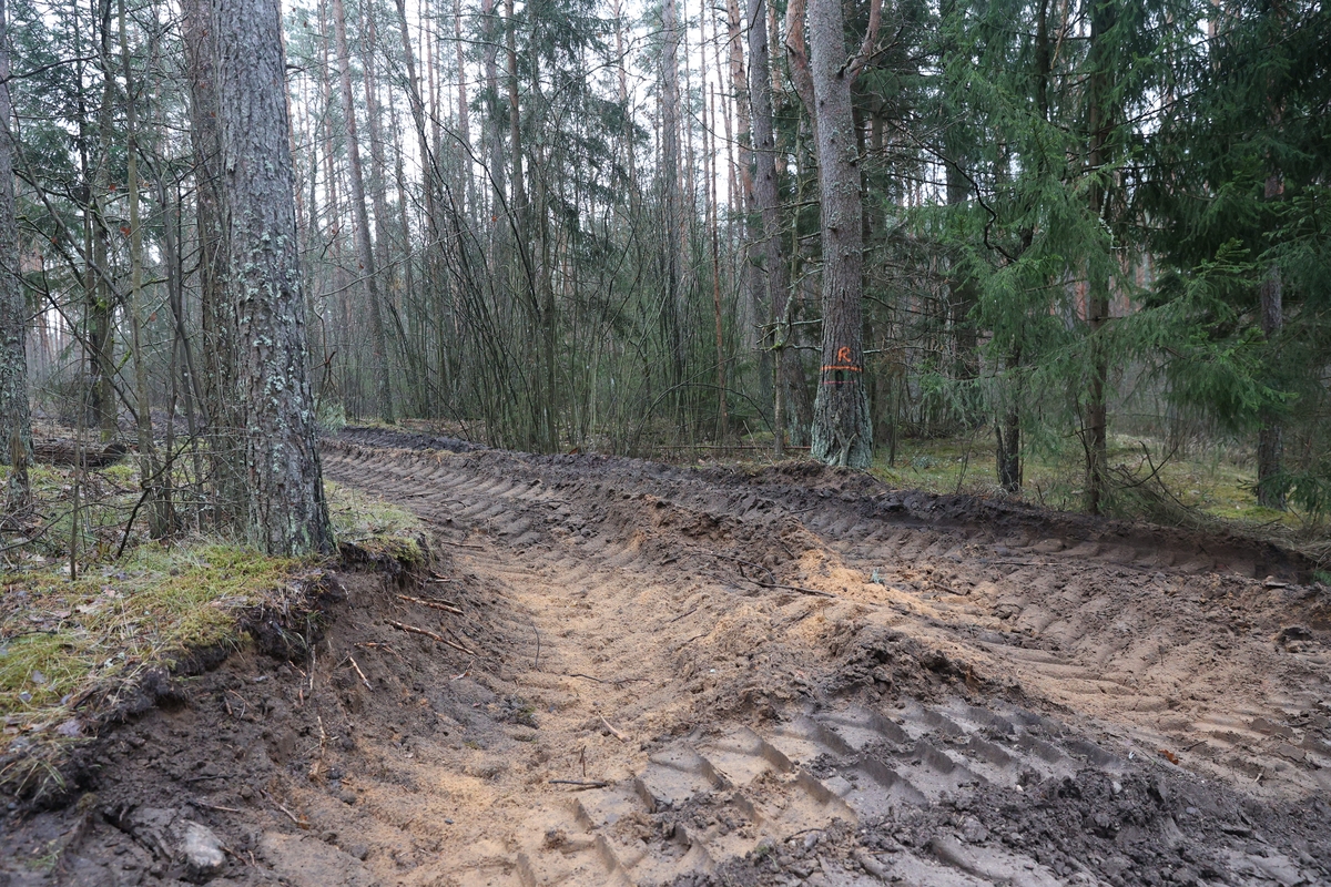 Pabradėje dingusių keturių JAV karių gelbėjimo operacija