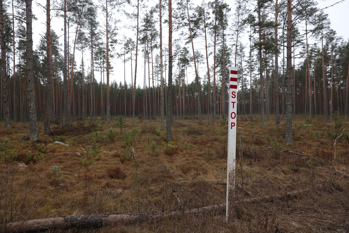 Pabradėje dingusių keturių JAV karių gelbėjimo operacija