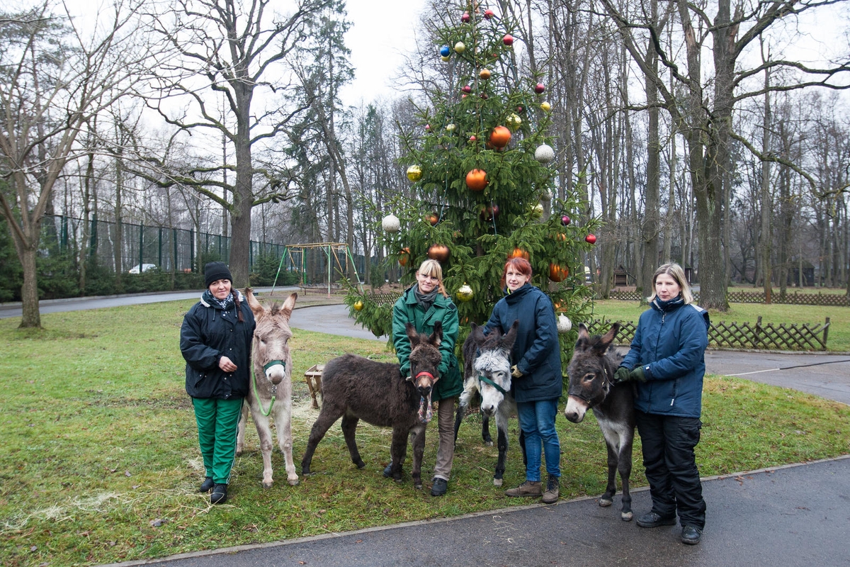Zoologijos sode šventė