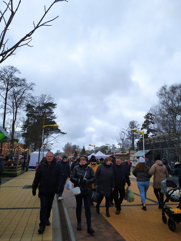 Palangoje šurmuliuoja „Stintų šventė“