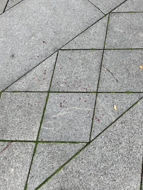 Žiaurios muštynės Laisvės alėjoje: kaukėta gauja lazdomis talžė mafijos veikėjus