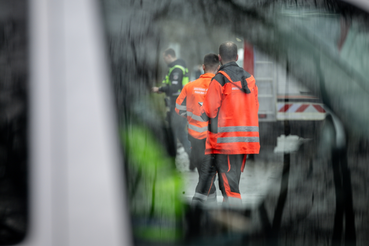 Netoli Kauno – siaubinga akistata su miškavežiu