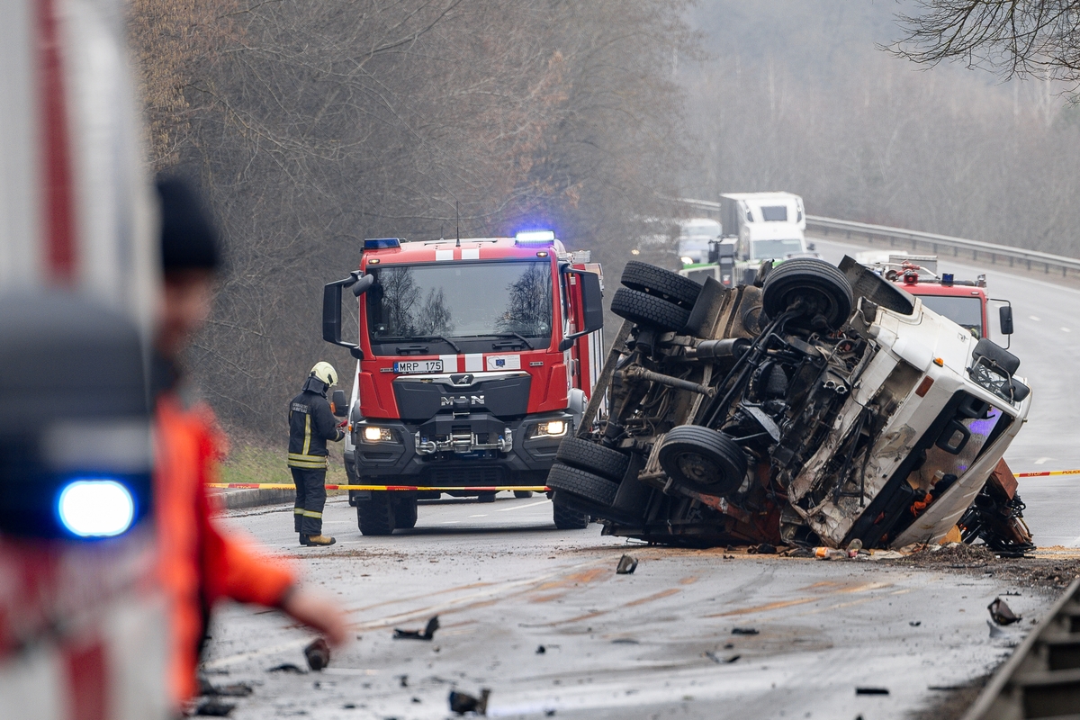 Netoli Kauno – siaubinga akistata su miškavežiu
