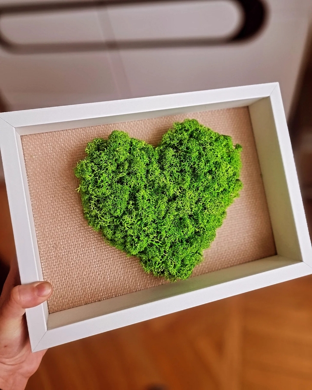 Tikslas: V. Tulevičiūtė nori savo floristinėmis kompozicijomis į kiekvienus namus atnešti dalelytę gamtos, kuri padėtų nusiraminti, susikaupti.