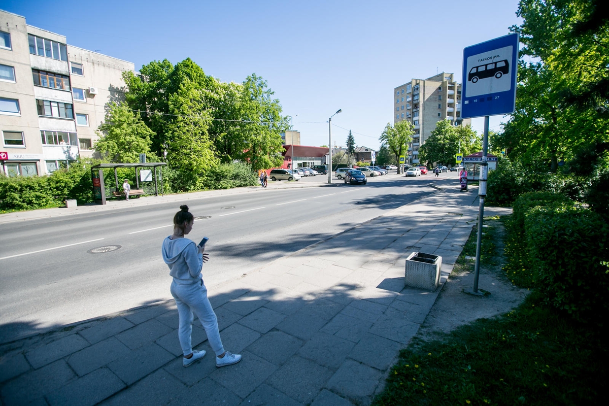 Dingo Taikos stotelės stoginė?
