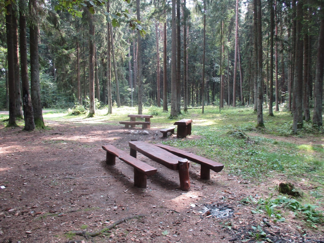 Permainos Kleboniškio parke