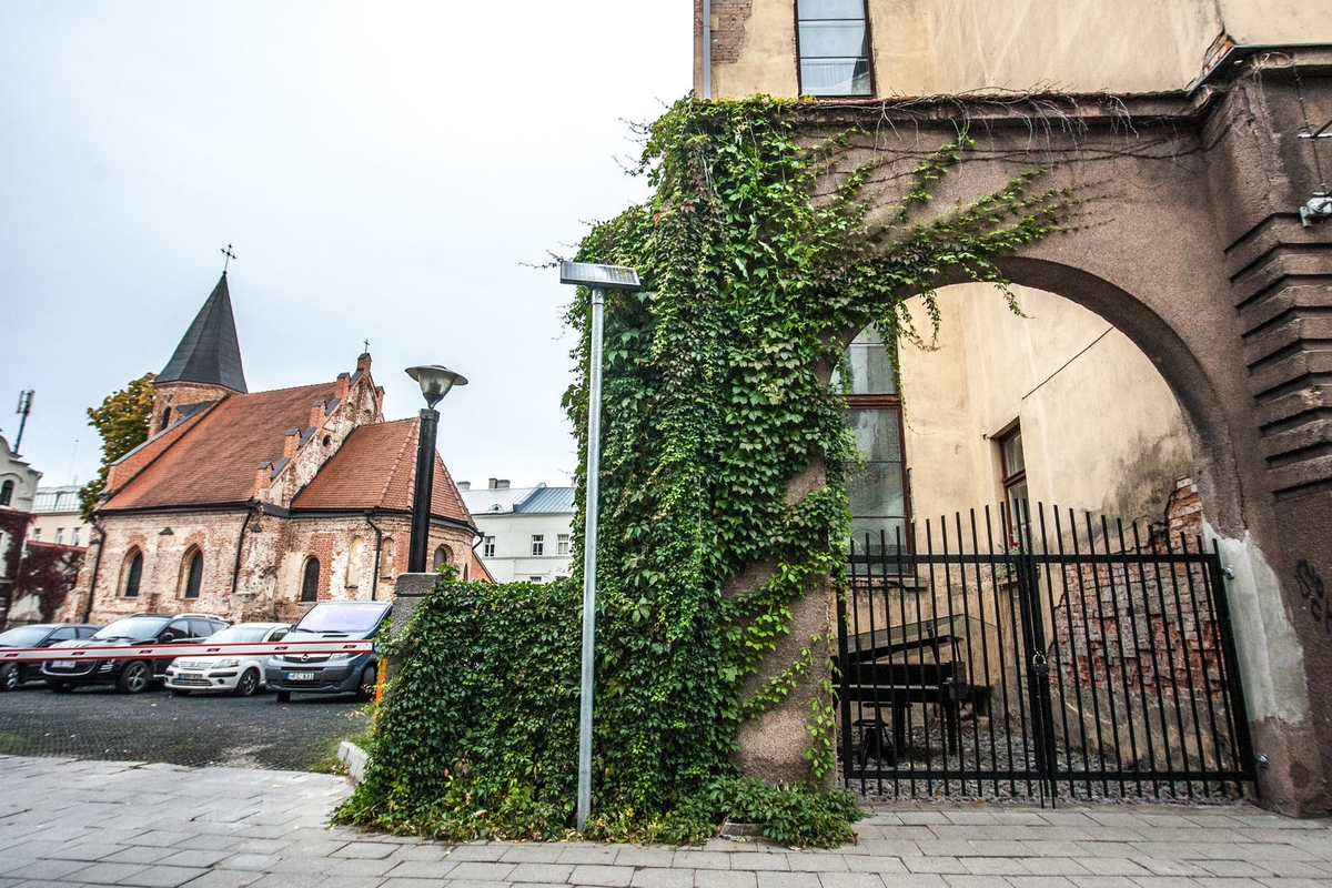 Pasivaikščiojimas J. Gruodžio gatve