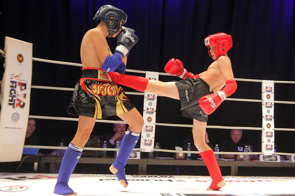 Tarptautinis muay thai turnyras „Powerfight“