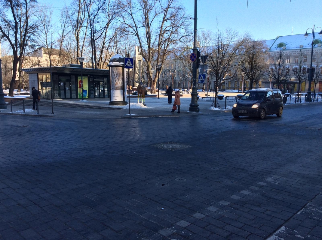Pavyzdingas briedis dėvi atšvaitus