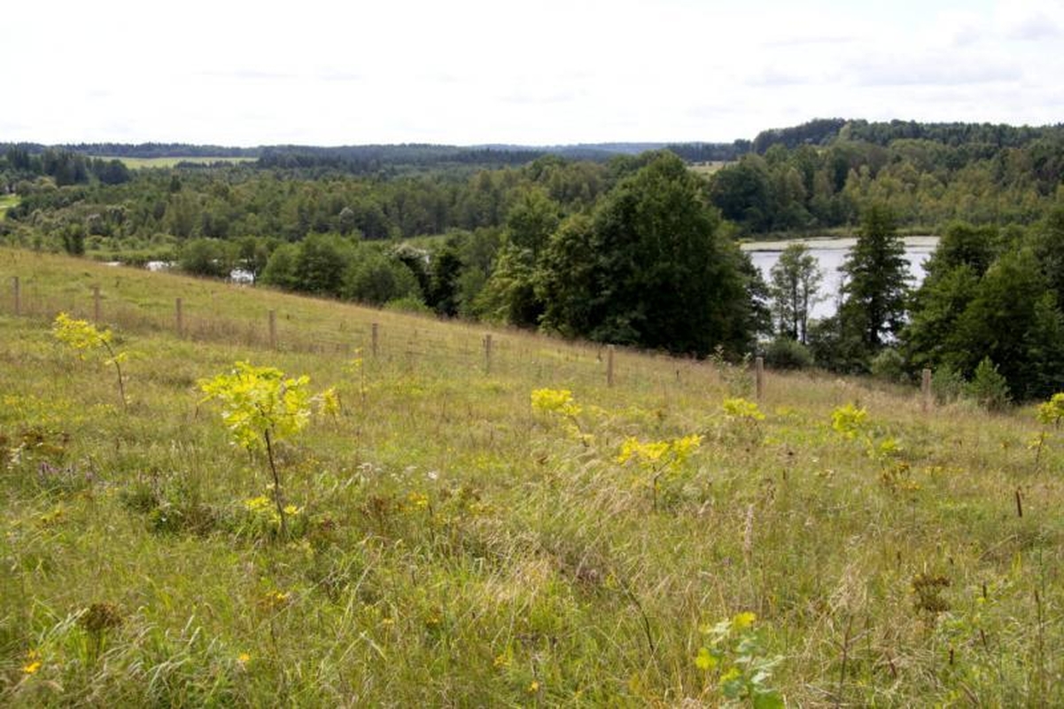 Kelionė po Nalšią - Sirvėtos regioninis parkas