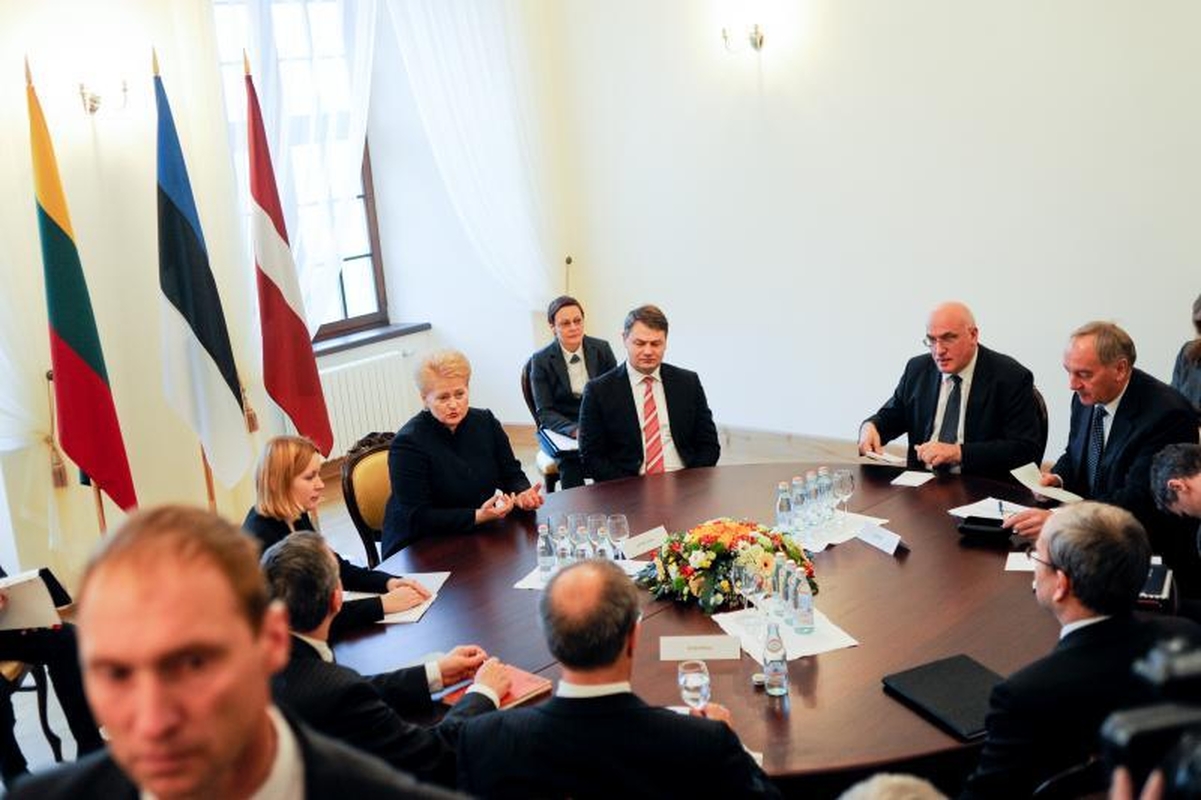 Raudondvario pilyje skambėjo priekaištai dėl atominės elektrinės