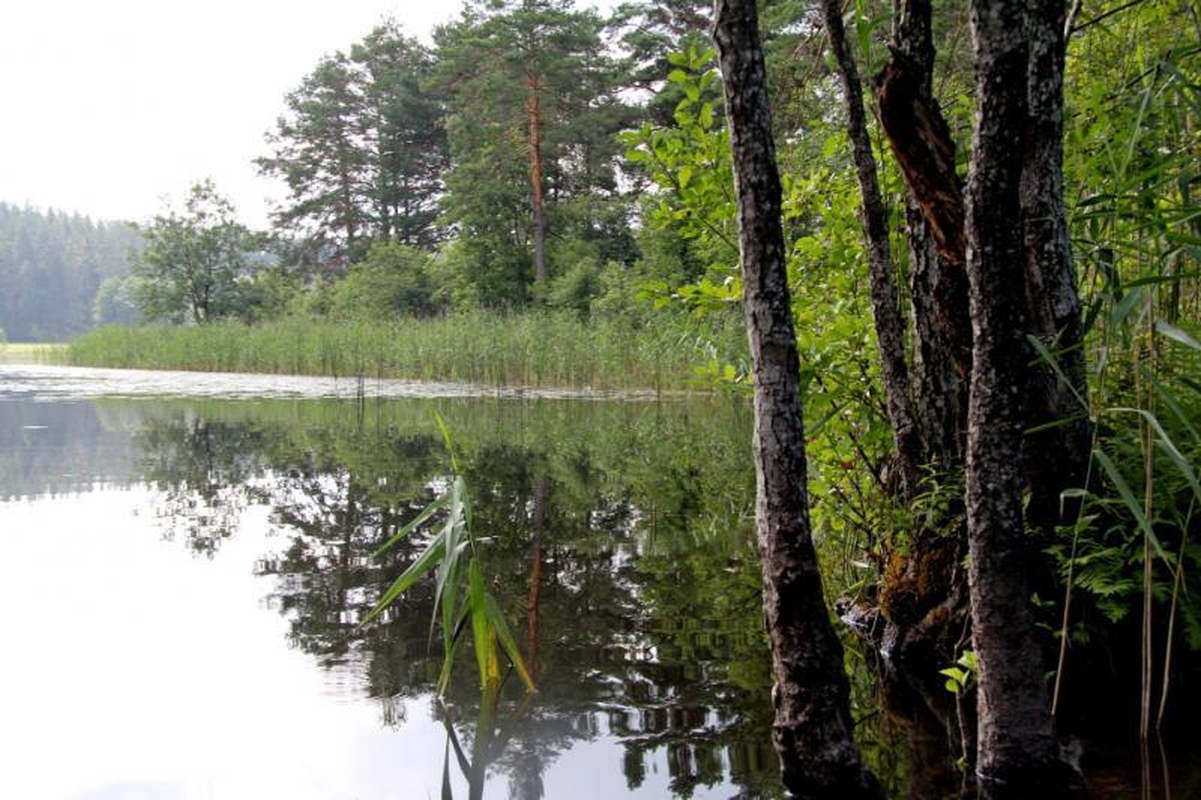 Aukštaitijos nacionalinio parko ežerais 