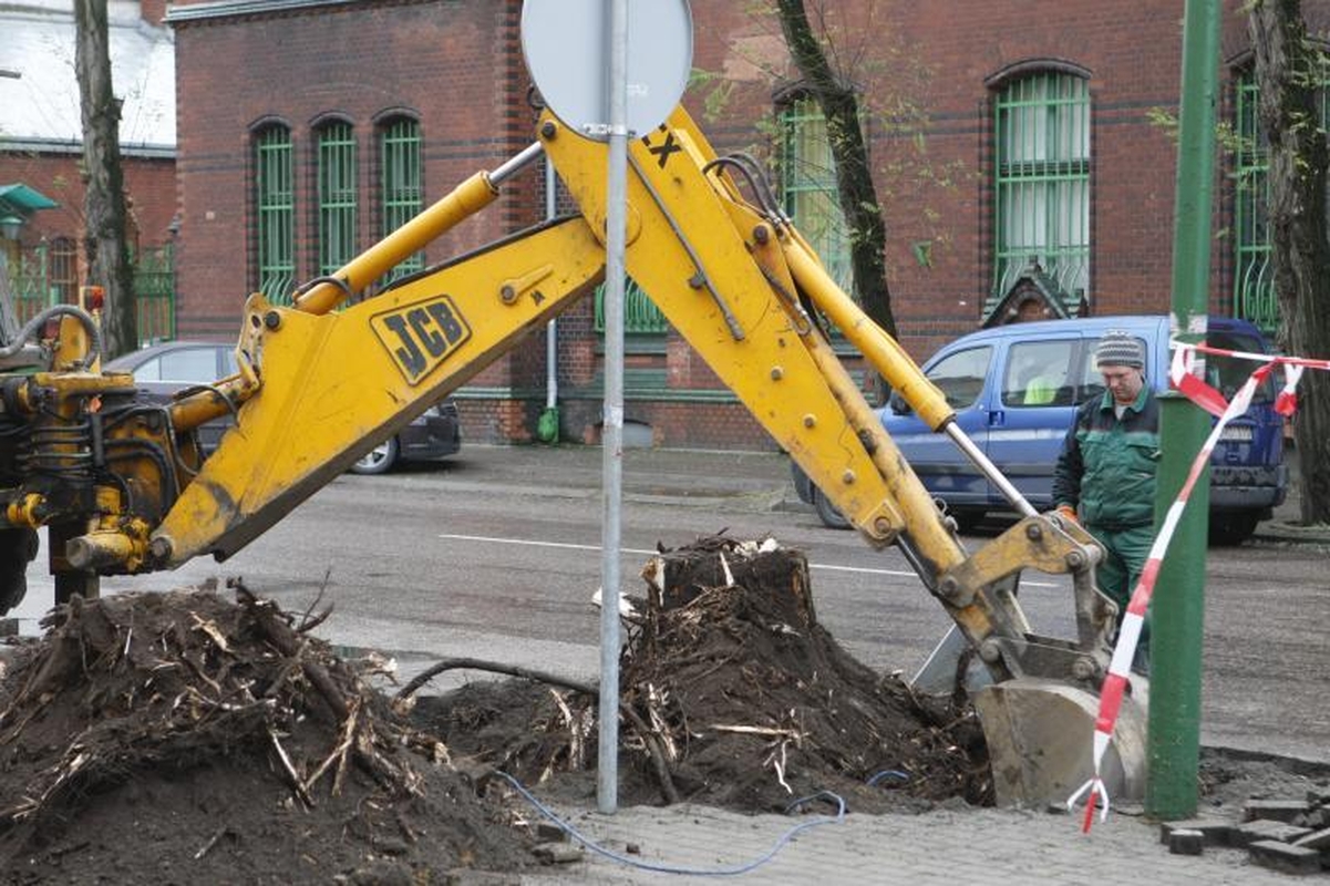 Liepų gatvę „palieka“ ilgametės miesto liepos