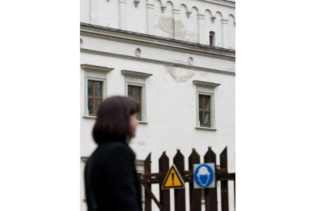 A.Gelūnas žada aiškintis dėl Valdovų rūmų statybų kokybės