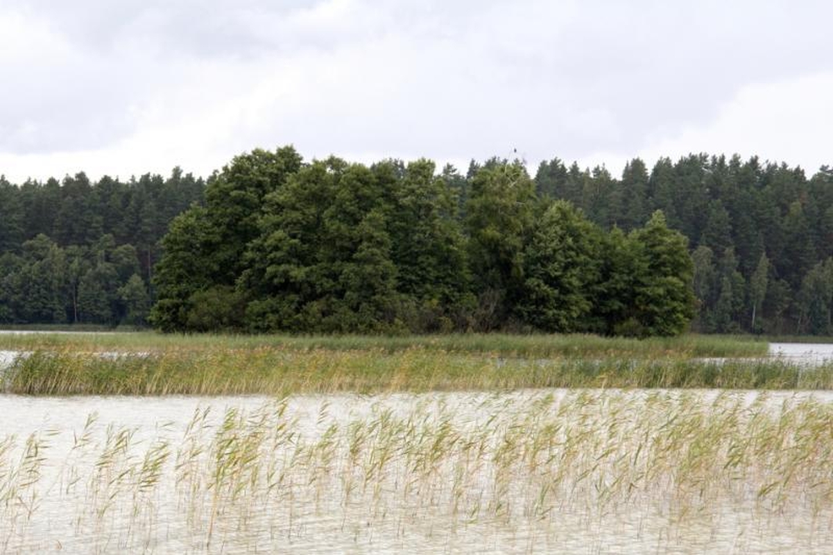 Kelionė unikaliu Asvejos regioniniu parku