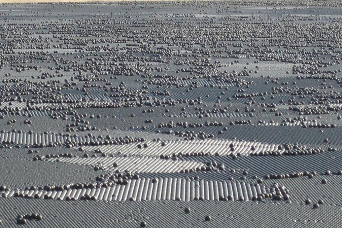 Los Andželo vandens talpyklą užpildė 400 tūkst. juodų kamuoliukų