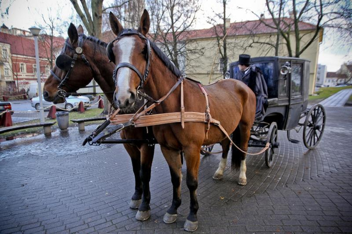 Kareninos tragedijos finalas – Vilniaus geležinkelio stotyje