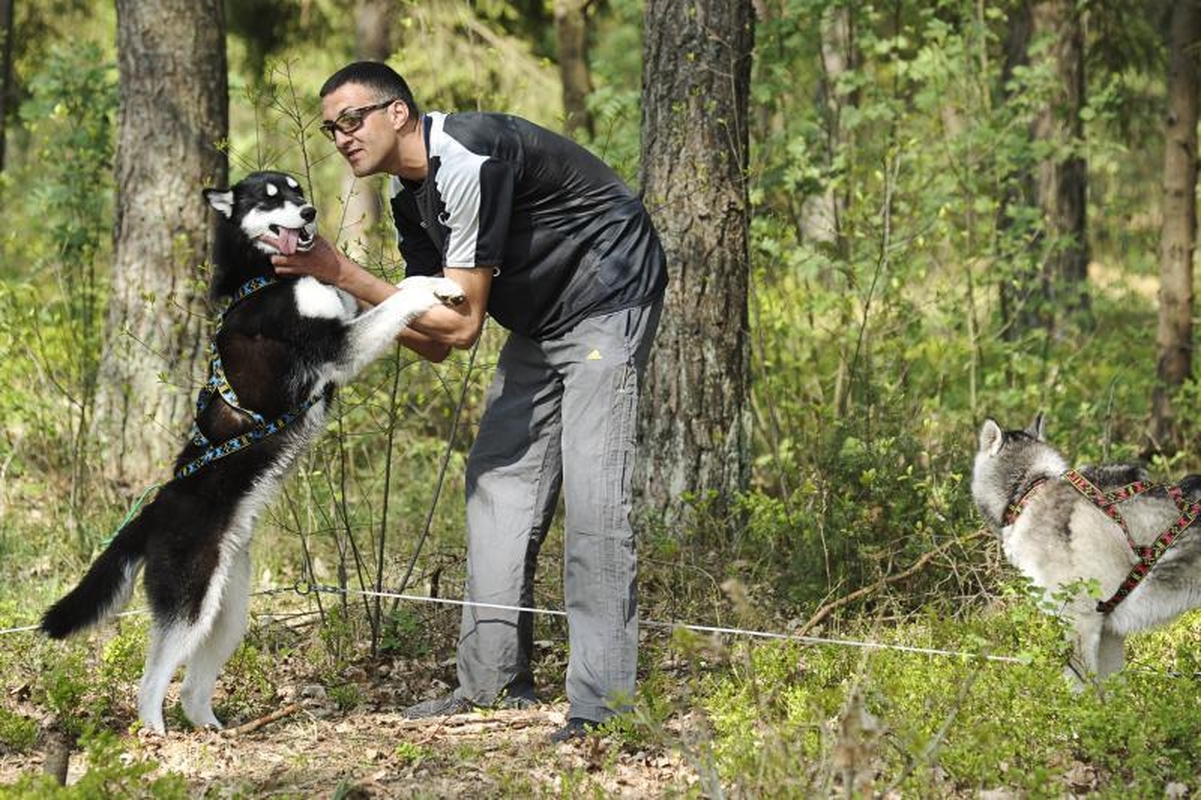 Jadagonių girios takais šuoliavo šunų kinkiniai 
