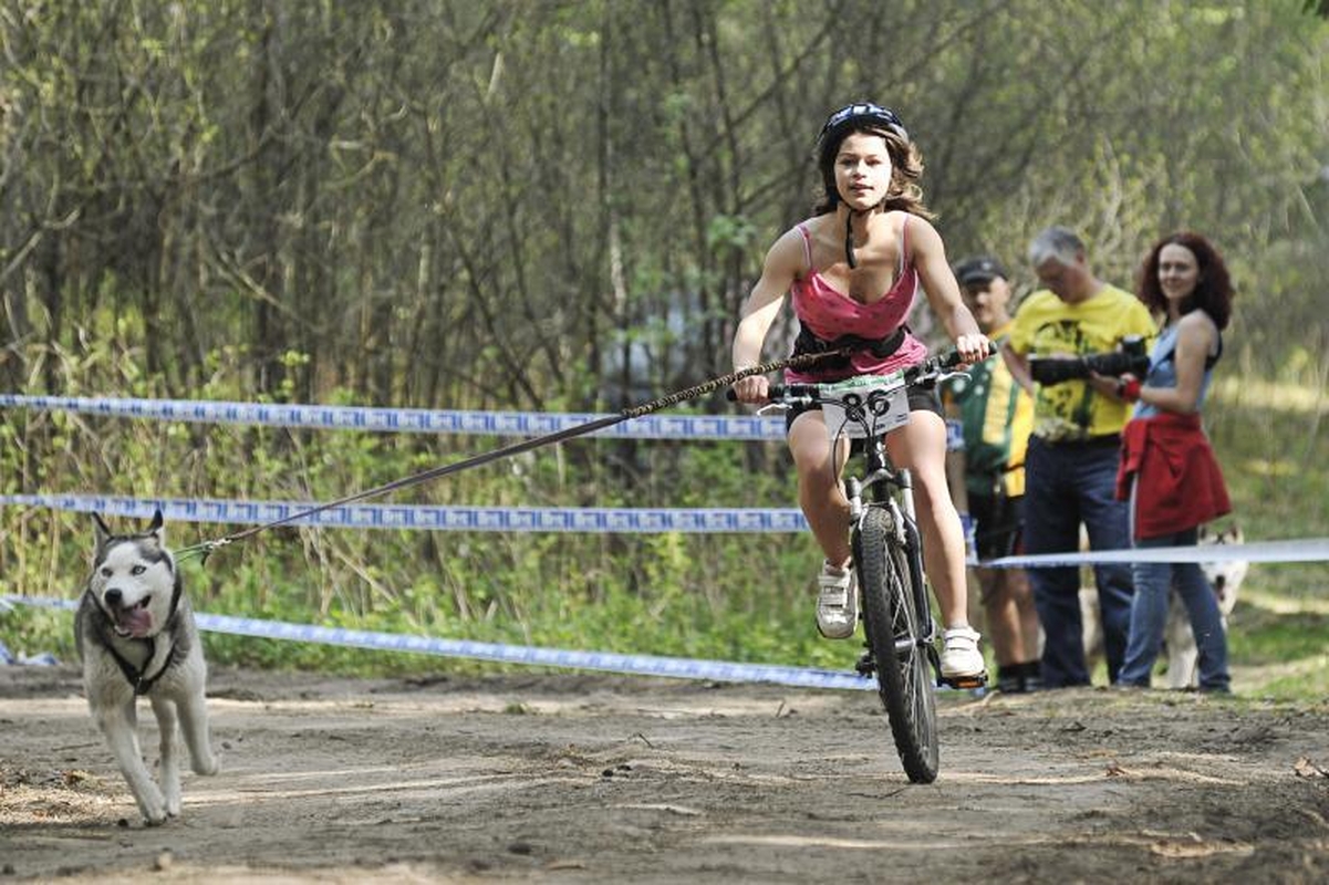 Jadagonių girios takais šuoliavo šunų kinkiniai 