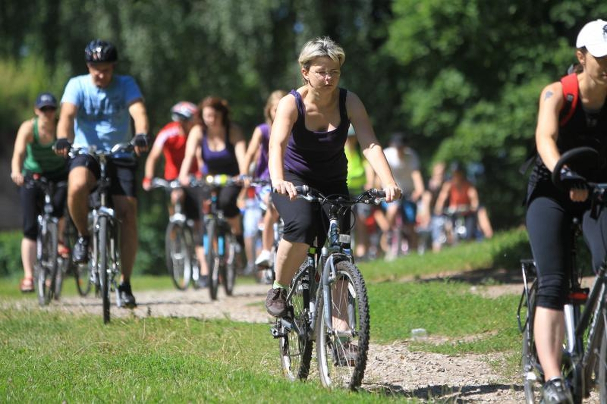 Dviračių entuziastai     tyrinėjo Vilnių