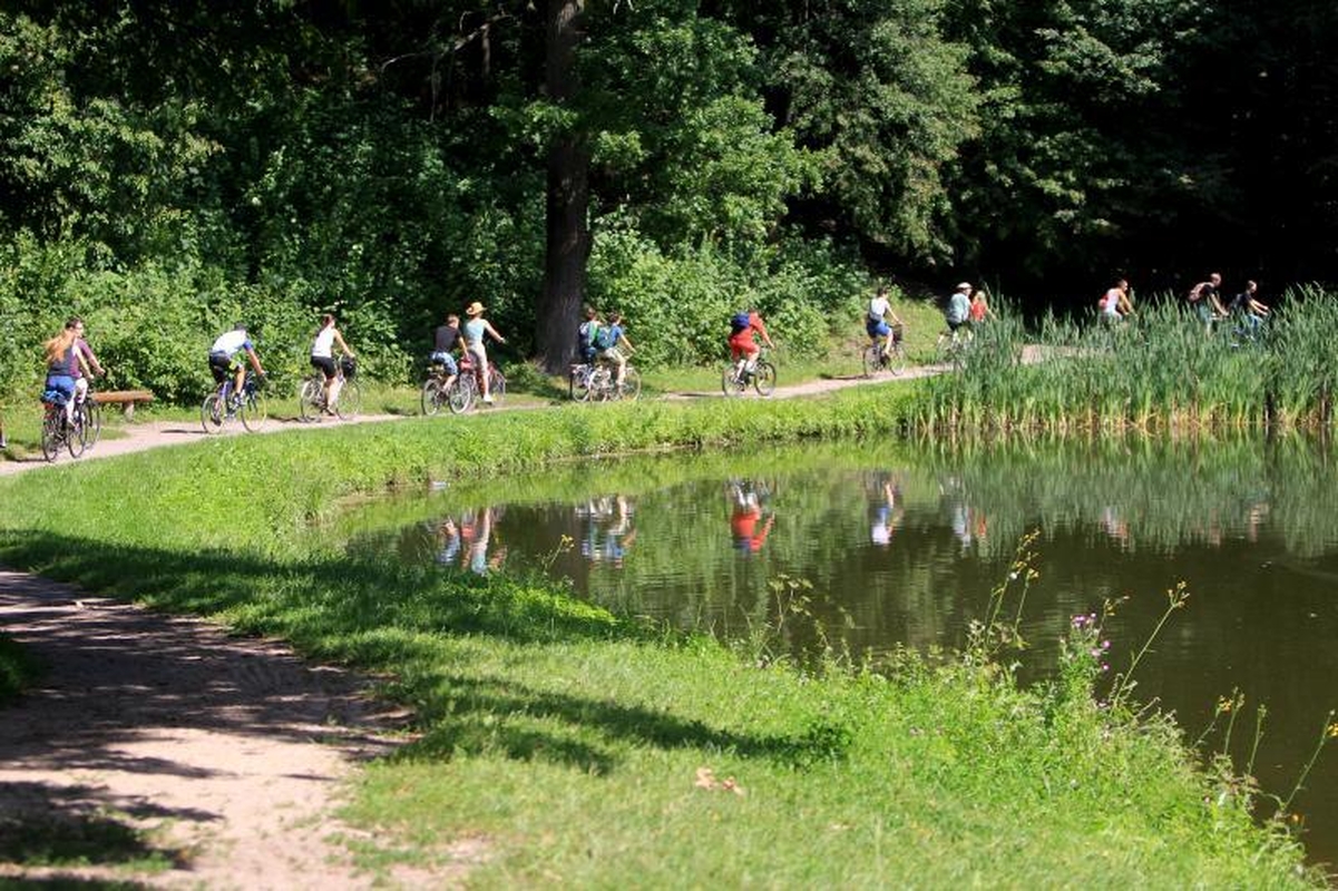 Dviračių entuziastai     tyrinėjo Vilnių