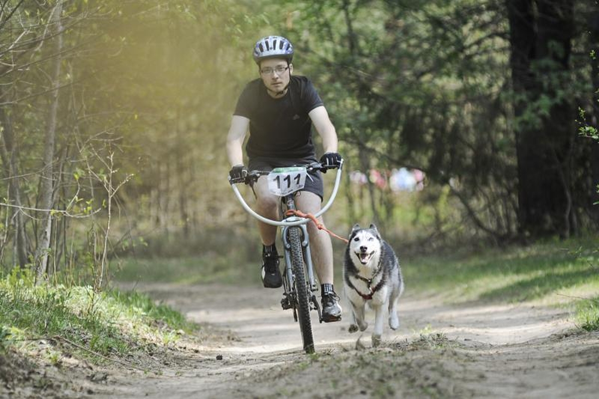 Jadagonių girios takais šuoliavo šunų kinkiniai 