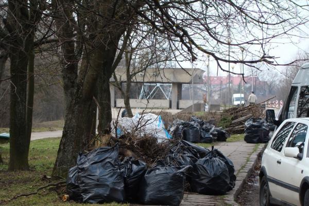 Šiukšles iš Panemunės šilo padėjo valyti ir gyventojai