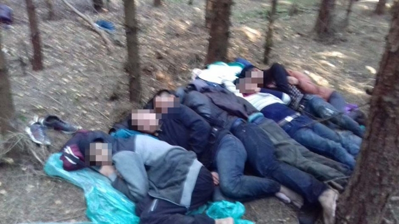 Vietnamiečius į Lietuvą gabenusį čečėną sulaikė tarnybinis šuo