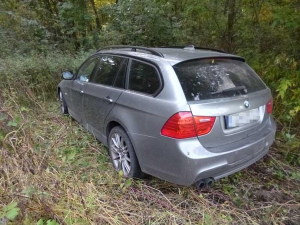 Miške rado vogtą BMW