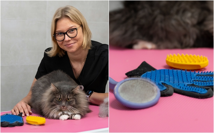 Nauda: nors katės kasdien „šukuojasi“ pačios, joms praverčia ir šeimininko pagalba. 