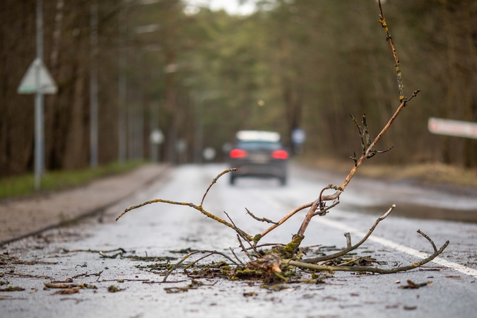 Dėl stipraus vėjo – nepatogumai: tūkstančiams dingo ir elektra