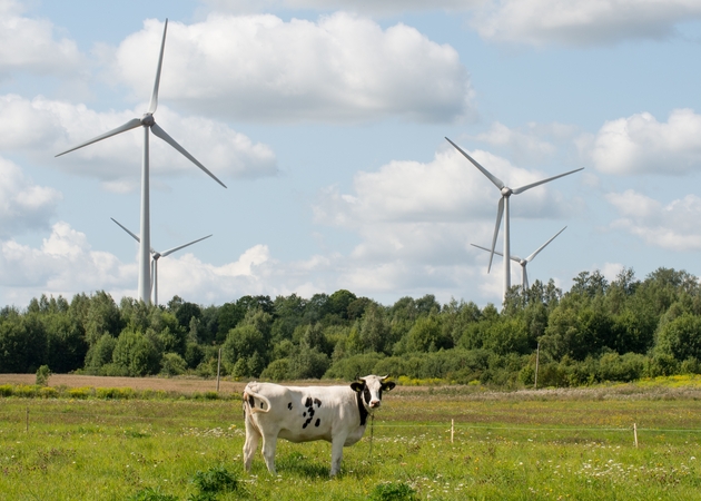 Tendencija: vėjo elektrinių parkų šalyje nuosekliai daugėja, bet kai kuriose savivaldybėse pastangos plėtoti strateginę reikšmę turinčią energetiką susiduria su įvairiausiomis kliūtimis.