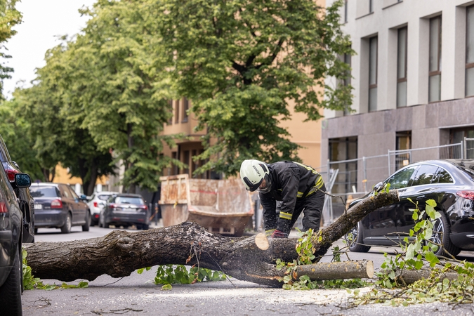 V. Putvinskio gatvėje ant automobilio užvirto medis