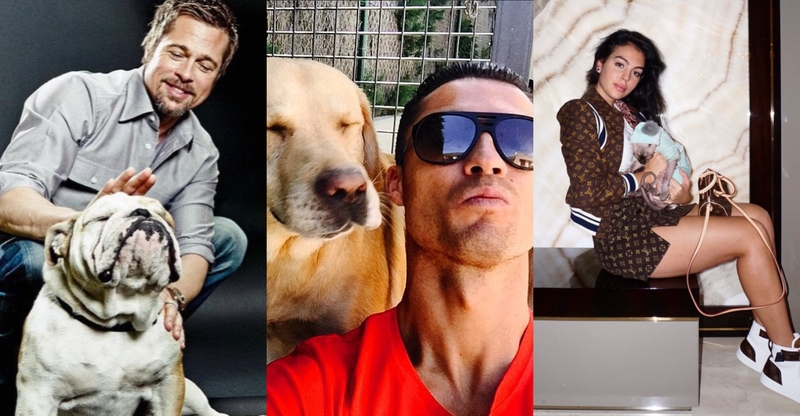 Pareigos: C. Ronaldo daug laiko praleidžia šunų draugijoje, o sfinksų veislės katyte rūpinasi jo žmona Georgina (nuotr. dešinėje).
