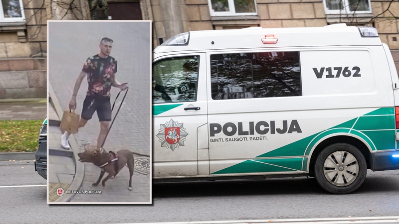 Sostinės pareigūnai ieško dviračio vagies