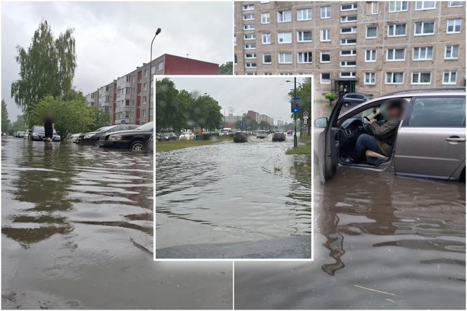 Liūtis Klaipėdoje
