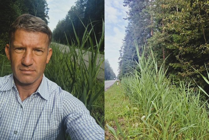 Kazlų Rūdos merą papiktino apžėlusios pakelės