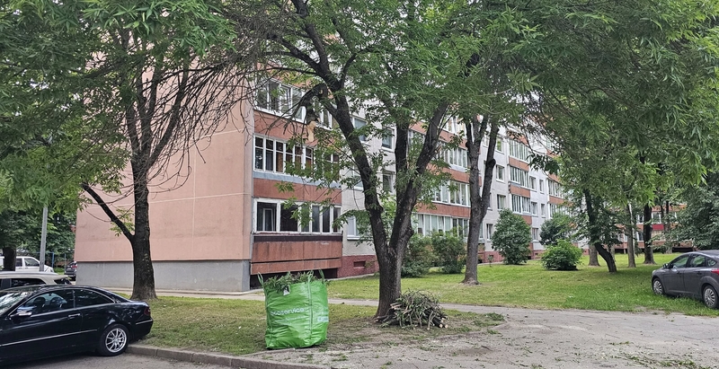 Sprendimas: nugenėtos šakos nebraižys klaipėdiečių automobilių, tuo pasirūpino čia gyvenantys žmonės.