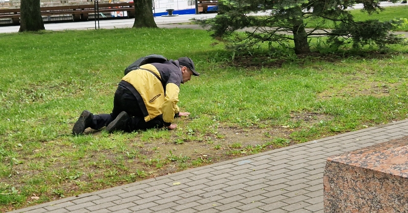 Vaizdelis: Danės skvere vieną pavakarę lėtai ropojo žmogysta, kurios tikslas buvo kaip nors pasiekti suolą.
