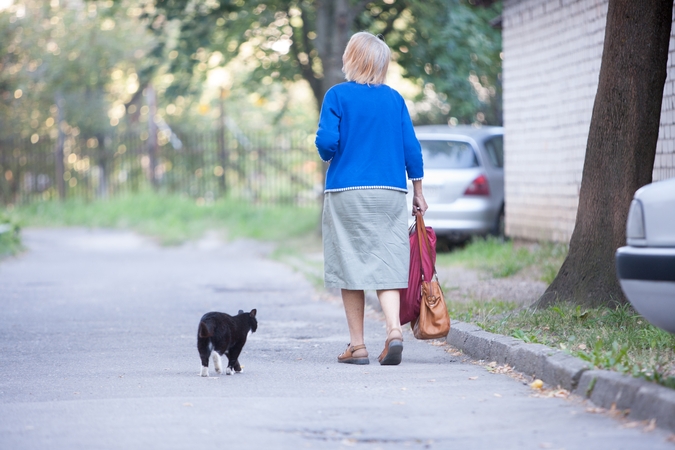 Realybė: katės ir jų atžalos patinka toli gražu ne kiekvienam.