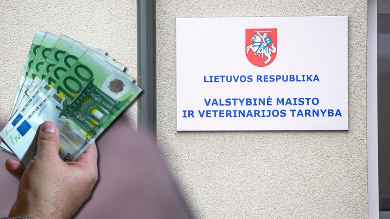 Teismui perduota rezonansinė VMVT korupcijos byla: kyšių sumos siekė beveik 200 tūkst. eurų