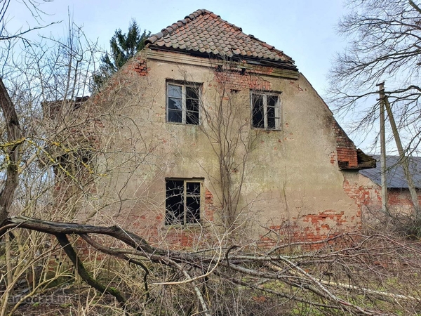 Pigumo viršūnė: butą Lietuvoje galite įsigyti vos už 68 eurus