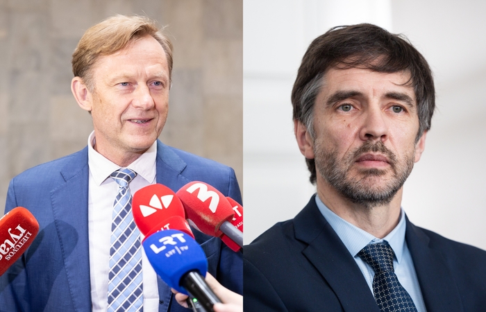 Šarūnas Birutis, Simonas Strelcovas